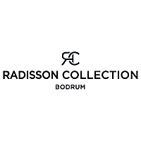 radisson blu hotel